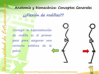 Servicio de Prevención de Riesgos Laborales de la Universidad de Extremadura
Corregir la hiperextensión
de rodilla es el primer
paso para asegurar una
correcta estática de la
pelvis.
¿¿Flexión de rodillas??
Anatomía y biomecánica: Conceptos Generales
 