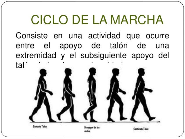 Biomecanica de la marcha