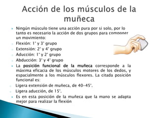  Ningún músculo tiene una acción pura por si solo, por lo
tanto es necesario la acción de dos grupos para componer
un movimiento:
o Flexión: 1° y 3° grupo
o Extensión: 2° y 4° grupo
o Aducción: 1° y 2° grupo
o Abducción: 3° y 4° grupo
 La posición funcional de la muñeca corresponde a la
máxima eficacia de los músculos motores de los dedos, y
espacialmente a los músculos flexores. La citada posición
funcional es:
o Ligera extensión de muñeca, de 40-45°.
o Ligera aducción, de 15°.
 Es en esta posición de la muñeca que la mano se adapta
mejor para realizar la flexión
 