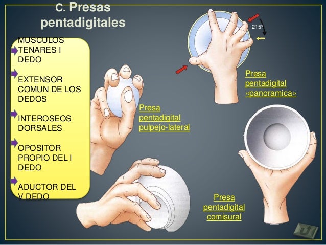Biomecanica de la prension