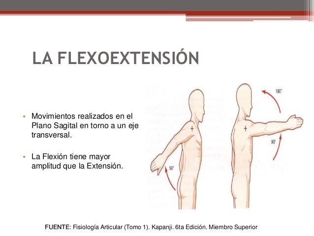 Biomecanica del hombro parte 1