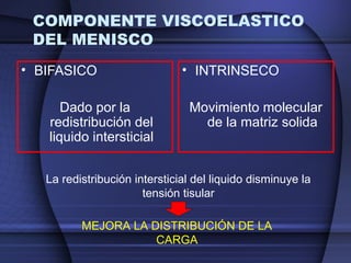 COMPONENTE VISCOELASTICO 
DEL MENISCO 
• BIFASICO 
Dado por la 
redistribución del 
liquido intersticial 
• INTRINSECO 
Movimiento molecular 
de la matriz solida 
La redistribución intersticial del liquido disminuye la 
tensión tisular 
MEJORA LA DISTRIBUCIÓN DE LA 
CARGA 
 