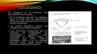 Biomecanica de los tejidos | PPTX