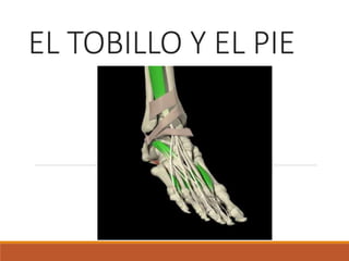 EL TOBILLO Y EL PIE
 