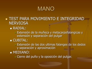 BIOMECANICA DE MANO Y MUÑECA 5677y672.ppt