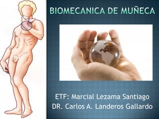 ETF: Marcial Lezama Santiago
DR. Carlos A. Landeros Gallardo
 
