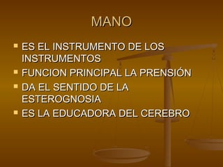 MMAANNOO 
 EESS EELL IINNSSTTRRUUMMEENNTTOO DDEE LLOOSS 
IINNSSTTRRUUMMEENNTTOOSS 
 FFUUNNCCIIOONN PPRRIINNCCIIPPAALL LLAA PPRREENNSSIIÓÓNN 
 DDAA EELL SSEENNTTIIDDOO DDEE LLAA 
EESSTTEERROOGGNNOOSSIIAA 
 EESS LLAA EEDDUUCCAADDOORRAA DDEELL CCEERREEBBRROO 
 