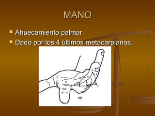 MMAANNOO 
 AAhhuueeccaammiieennttoo ppaallmmaarr 
 DDaaddoo ppoorr llooss 44 úúllttiimmooss mmeettaaccaarrppiiaannooss.. 
 