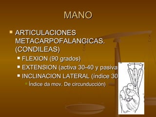 MMAANNOO 
 AARRTTIICCUULLAACCIIOONNEESS 
MMEETTAACCAARRPPOOFFAALLAANNGGIICCAASS.. 
((CCOONNDDIILLEEAASS)) 
 FFLLEEXXIIOONN ((9900 ggrraaddooss)) 
 EEXXTTEENNSSIIOONN ((aaccttiivvaa 3300--4400 yy ppaassiivvaa hhaassttaa 9900)) 
 IINNCCLLIINNAACCIIOONN LLAATTEERRAALL ((íínnddiiccee 3300)) 
 ÍÍnnddiiccee ddaa mmoovv.. DDee cciirrccuunndduucccciióónn)) 
 