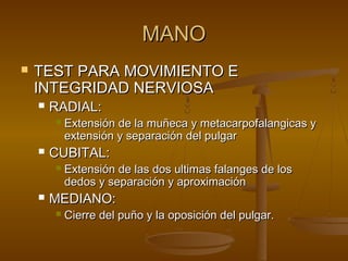 MMAANNOO 
 TTEESSTT PPAARRAA MMOOVVIIMMIIEENNTTOO EE 
IINNTTEEGGRRIIDDAADD NNEERRVVIIOOSSAA 
 RRAADDIIAALL:: 
 EExxtteennssiióónn ddee llaa mmuuññeeccaa yy mmeettaaccaarrppooffaallaannggiiccaass yy 
eexxtteennssiióónn yy sseeppaarraacciióónn ddeell ppuullggaarr 
 CCUUBBIITTAALL:: 
 EExxtteennssiióónn ddee llaass ddooss uullttiimmaass ffaallaannggeess ddee llooss 
ddeeddooss yy sseeppaarraacciióónn yy aapprrooxxiimmaacciióónn 
 MMEEDDIIAANNOO:: 
 CCiieerrrree ddeell ppuuññoo yy llaa ooppoossiicciióónn ddeell ppuullggaarr.. 
 