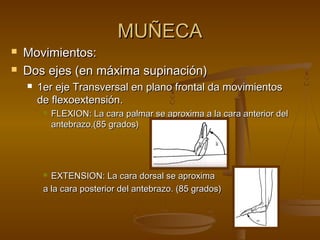 MMUUÑÑEECCAA 
 MMoovviimmiieennttooss:: 
 DDooss eejjeess ((eenn mmááxxiimmaa ssuuppiinnaacciióónn)) 
 11eerr eejjee TTrraannssvveerrssaall eenn ppllaannoo ffrroonnttaall ddaa mmoovviimmiieennttooss 
ddee fflleexxooeexxtteennssiióónn.. 
 FFLLEEXXIIOONN:: LLaa ccaarraa ppaallmmaarr ssee aapprrooxxiimmaa aa llaa ccaarraa aanntteerriioorr ddeell 
aanntteebbrraazzoo..((8855 ggrraaddooss)) 
 EEXXTTEENNSSIIOONN:: LLaa ccaarraa ddoorrssaall ssee aapprrooxxiimmaa 
aa llaa ccaarraa ppoosstteerriioorr ddeell aanntteebbrraazzoo.. ((8855 ggrraaddooss)) 
 