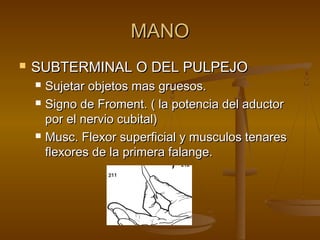 MMAANNOO 
 SSUUBBTTEERRMMIINNAALL OO DDEELL PPUULLPPEEJJOO 
 SSuujjeettaarr oobbjjeettooss mmaass ggrruueessooss.. 
 SSiiggnnoo ddee FFrroommeenntt.. (( llaa ppootteenncciiaa ddeell aadduuccttoorr 
ppoorr eell nneerrvviioo ccuubbiittaall)) 
 MMuusscc.. FFlleexxoorr ssuuppeerrffiicciiaall yy mmuussccuullooss tteennaarreess 
fflleexxoorreess ddee llaa pprriimmeerraa ffaallaannggee.. 
 