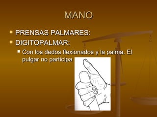 MMAANNOO 
 PPRREENNSSAASS PPAALLMMAARREESS:: 
 DDIIGGIITTOOPPAALLMMAARR:: 
 CCoonn llooss ddeeddooss fflleexxiioonnaaddooss yy llaa ppaallmmaa.. EEll 
ppuullggaarr nnoo ppaarrttiicciippaa 
 