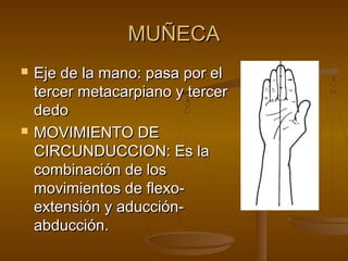 MMUUÑÑEECCAA 
 EEjjee ddee llaa mmaannoo:: ppaassaa ppoorr eell 
tteerrcceerr mmeettaaccaarrppiiaannoo yy tteerrcceerr 
ddeeddoo 
 MMOOVVIIMMIIEENNTTOO DDEE 
CCIIRRCCUUNNDDUUCCCCIIOONN:: EEss llaa 
ccoommbbiinnaacciióónn ddee llooss 
mmoovviimmiieennttooss ddee fflleexxoo-- 
eexxtteennssiióónn yy aadduucccciióónn-- 
aabbdduucccciióónn.. 
 