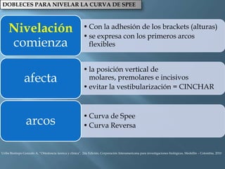 DOBLECES PARA NIVELAR LA CURVA DE SPEE
• Con la adhesión de los brackets (alturas)
• se expresa con los primeros arcos
flexibles
Nivelación
comienza
• la posición vertical de
molares, premolares e incisivos
• evitar la vestibularización = CINCHAR
afecta
• Curva de Spee
• Curva Reversa
arcos
Uribe Restrepo Gonzalo A, “Ortodoncia teorica y clinica”, 2da Edición, Corporación Interamericana para investigaciones biológicas, Medellín – Colombia, 2010
 