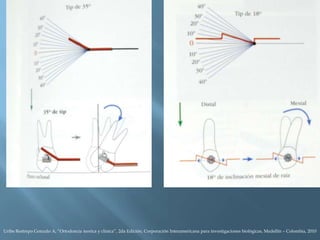 Uribe Restrepo Gonzalo A, “Ortodoncia teorica y clinica”, 2da Edición, Corporación Interamericana para investigaciones biológicas, Medellín – Colombia, 2010
 