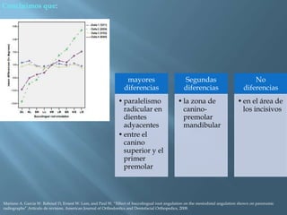 Concluimos que:
mayores
diferencias
•paralelismo
radicular en
dientes
adyacentes
•entre el
canino
superior y el
primer
premolar
Segundas
diferencias
•la zona de
canino-
premolar
mandibular
No
diferencias
•en el área de
los incisivos
Mariano A. Garcia W. Raboud D, Ernest W. Lam, and Paul W. “Effect of buccolingual root angulation on the mesiodistal angulation shown on panoramic
radiographs” Artículo de revision, American Journal of Orthodontics and Dentofacial Orthopedics, 2008.
 