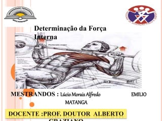 MESTRANDOS : Lúcio Morais Alfredo EMILIO
MATANGA
Determinação da Força
Interna
 