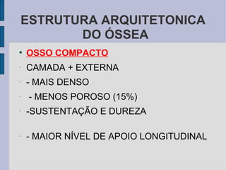 ESTRUTURA ARQUITETONICA
           DO ÓSSEA
●
    OSSO COMPACTO
-
    CAMADA + EXTERNA
-
    - MAIS DENSO
-
     - MENOS POROSO (15%)
-
    -SUSTENTAÇÃO E DUREZA

-
    - MAIOR NÍVEL DE APOIO LONGITUDINAL
 