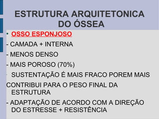 ESTRUTURA ARQUITETONICA
           DO ÓSSEA
●
    OSSO ESPONJOSO
- CAMADA + INTERNA
- MENOS DENSO
- MAIS POROSO (70%)
-
    SUSTENTAÇÃO É MAIS FRACO POREM MAIS
CONTRIBUI PARA O PESO FINAL DA
 ESTRUTURA
- ADAPTAÇÃO DE ACORDO COM A DIREÇÃO
  DO ESTRESSE + RESISTÊNCIA
 