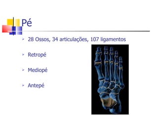 Pé 28 Ossos, 34 articulações, 107 ligamentos Retropé Mediopé Antepé 