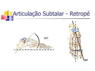 Articulação Subtalar - Retropé 