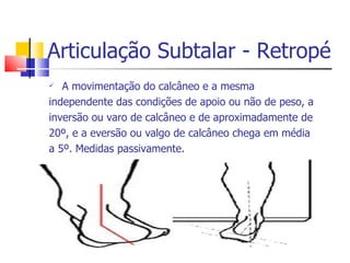 Articulação Subtalar - Retropé A movimentação do calcâneo e a mesma independente das condições de apoio ou não de peso, a inversão ou varo de calcâneo e de aproximadamente de 20º, e a eversão ou valgo de calcâneo chega em média a 5º. Medidas passivamente. 