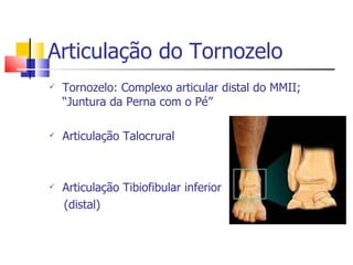Articulação do Tornozelo Tornozelo: Complexo articular distal do MMII; “Juntura da Perna com o Pé” Articulação Talocrural Articulação Tibiofibular inferior  (distal) 