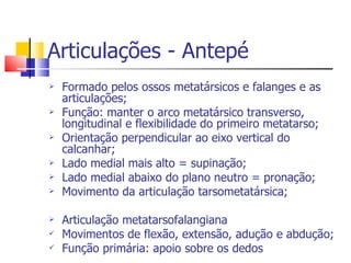 Articulações - Antepé Formado pelos ossos metatársicos e falanges e as articulações; Função: manter o arco metatársico transverso, longitudinal e flexibilidade do primeiro metatarso; Orientação perpendicular ao eixo vertical do calcanhar; Lado medial mais alto = supinação; Lado medial abaixo do plano neutro = pronação; Movimento da articulação tarsometatársica; Articulação metatarsofalangiana Movimentos de flexão, extensão, adução e abdução; Função primária: apoio sobre os dedos 