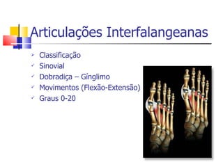 Articulações Interfalangeanas Classificação Sinovial Dobradiça – Gínglimo Movimentos (Flexão-Extensão) Graus 0-20 