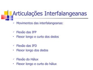Articulações Interfalangeanas Movimentos das interfalangeanas: Flexão das IFP Flexor longo e curto dos dedos Flexão das IFD Flexor longo dos dedos Flexão do Hálux Flexor longo e curto do hálux 