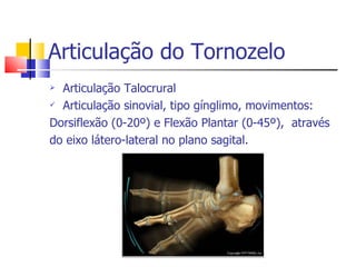 Articulação do Tornozelo Articulação Talocrural Articulação sinovial, tipo gínglimo, movimentos: Dorsiflexão (0-20º) e Flexão Plantar (0-45º),  através do eixo látero-lateral no plano sagital. 