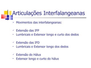 Articulações Interfalangeanas Movimentos das interfalangeanas: Extensão das IFP Lumbricais e Extensor longo e curto dos dedos Extensão das IFD Lumbricais e Extensor longo dos dedos Extensão do Hálux Extensor longo e curto do hálux 