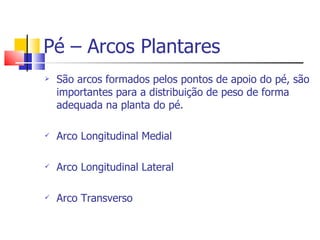 Pé – Arcos Plantares São arcos formados pelos pontos de apoio do pé, são importantes para a distribuição de peso de forma adequada na planta do pé.  Arco Longitudinal Medial Arco Longitudinal Lateral Arco Transverso 