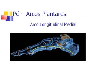 Pé – Arcos Plantares Arco Longitudinal Medial 