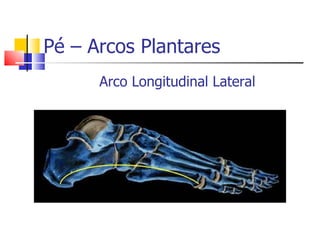 Pé – Arcos Plantares Arco Longitudinal Lateral 