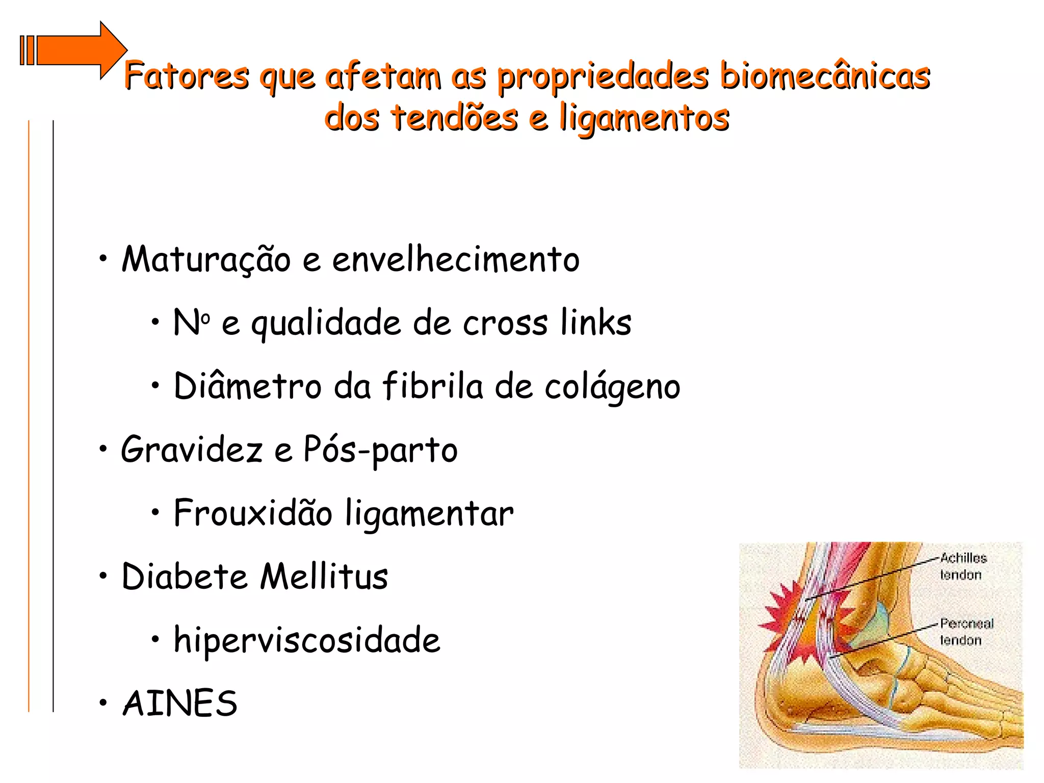 Ten Does Biomecanica dos tendões e ligamentos | PPT