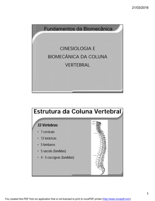 21/03/2016
1
Fundamentos da Biomecânica
CINESIOLOGIA E
BIOMECÂNICA DA COLUNA
VERTEBRAL
Estrutura da Coluna Vertebral
33 Vértebras
• 7 cervicais
• 12 torácicas
• 5 lombares
• 5 sacrais (fundidas)
• 4 - 5 coccígeas (fundidas)
You created this PDF from an application that is not licensed to print to novaPDF printer (http://www.novapdf.com)
 