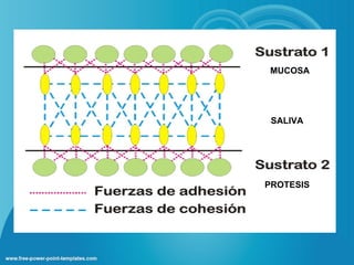 MUCOSA




 SALIVA




PROTESIS
 
