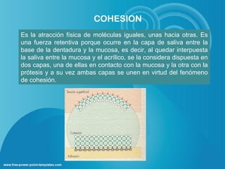COHESION
Es la atracción física de moléculas iguales, unas hacia otras. Es
una fuerza retentiva porque ocurre en la capa de saliva entre la
base de la dentadura y la mucosa, es decir, al quedar interpuesta
la saliva entre la mucosa y el acrílico, se la considera dispuesta en
dos capas, una de ellas en contacto con la mucosa y la otra con la
prótesis y a su vez ambas capas se unen en virtud del fenómeno
de cohesión.
 
