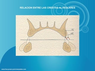 RELACION ENTRE LAS CRESTAS ALVEOLARES
 