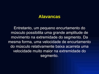 Alavancas Entretanto, um pequeno encurtamento do músculo possibilita uma grande amplitude de movimento na extremidade do segmento. Da mesma forma, uma velocidade de encurtamento do músculo relativamente baixa acarreta uma velocidade muito maior na extremidade do segmento. 