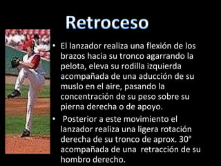 El lanzador realiza una flexión de los brazos hacia su tronco agarrando la pelota, eleva su rodilla izquierda acompañada de una aducción de su muslo en el aire, pasando la concentración de su peso sobre su pierna derecha o de apoyo. Posterior a este movimiento el lanzador realiza una ligera rotación derecha de su tronco de aprox. 30° acompañada de una  retracción de su hombro derecho. 