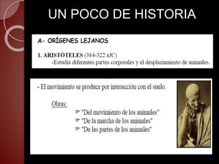 UN POCO DE HISTORIA