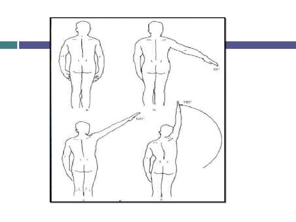 Biomecanica hombro, pruebas funcionales y ortopedicas