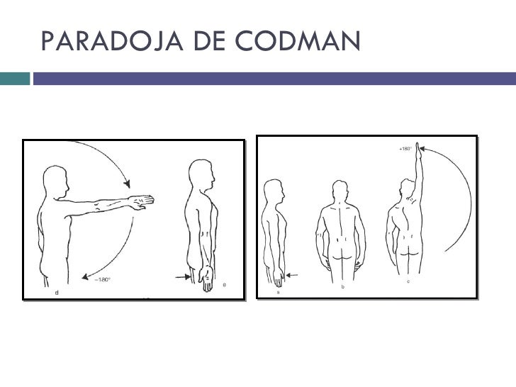 Biomecanica hombro, pruebas funcionales y ortopedicas