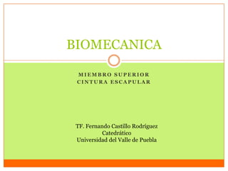 BIOMECANICA

 MIEMBRO SUPERIOR
 CINTURA ESCAPULAR




 TF. Fernando Castillo Rodríguez
           Catedrático
 Universidad del Valle de Puebla
 