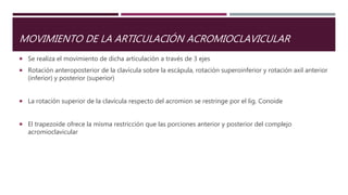 MOVIMIENTO DE LA ARTICULACIÓN ACROMIOCLAVICULAR
 Se realiza el movimiento de dicha articulación a través de 3 ejes
 Rotación anteroposterior de la clavícula sobre la escápula, rotación superoinferior y rotación axil anterior
(inferior) y posterior (superior)
 La rotación superior de la clavícula respecto del acromion se restringe por el lig. Conoide
 El trapezoide ofrece la misma restricción que las porciones anterior y posterior del complejo
acromioclavicular
 