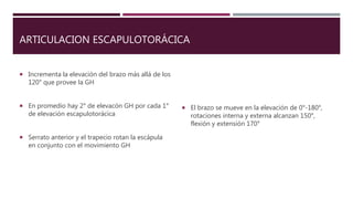 ARTICULACION ESCAPULOTORÁCICA
 Incrementa la elevación del brazo más allá de los
120° que provee la GH
 En promedio hay 2° de elevacón GH por cada 1°
de elevación escapulotorácica
 Serrato anterior y el trapecio rotan la escápula
en conjunto con el movimiento GH
 El brazo se mueve en la elevación de 0°-180°,
rotaciones interna y externa alcanzan 150°,
flexión y extensión 170°
 