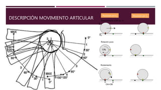 DESCRIPCIÓN MOVIMIENTO ARTICULAR
 